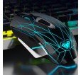 Souris Aula S50